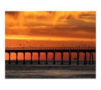 Jigsaw Puzzles 1500 Piece Gift for Men/Women-Bridge,sunset,birds 87x57cm