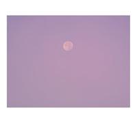 Jigsaw Puzzles 1500 Piece Gift for Men/Women-Evening,moon,birds 87x57cm