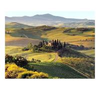 Jigsaw Puzzles 1500 Piece Gift for Men/Women-Field,grass,autumn 87x57cm