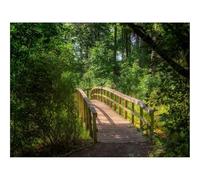 Jigsaw Puzzles 1500 Piece Gift for Men/Women-forests,trees,bridge 87x57cm