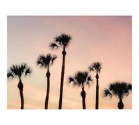 Jigsaw Puzzles 1500 Piece Gift for Men/Women-Palms,Trees,Sky,Dusk,Summer 87x57cm