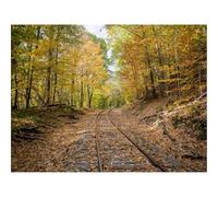 Jigsaw Puzzles 1500 Piece Gift for Men/Women-Rails,forests,Trees,Autumn,Foliage 87x57cm
