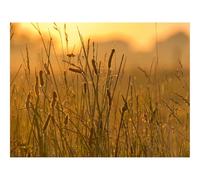 Jigsaw Puzzles 1500 Piece Gift for Men/Women-Spike,Wind,Grass 87x57cm