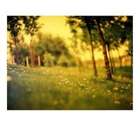 Jigsaw Puzzles 1500 Piece Gift for Men/Women-trees,degradation 87x57cm