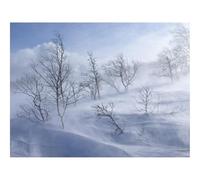Jigsaw Puzzles 1500 Piece Gift for Men/Women-Trees,Mountains,Blizzard,Snow,Wind 87x57cm