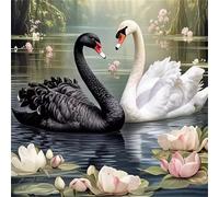 Jigsaw Puzzles 200 Pieces for Adults, Black Swan 200 Piece jigsaw puzzles for adults 11x11inch, Fun Educational Puzzle Games, Beautiful Decoration puzzle