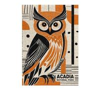 Jigsaw Puzzles 300 PCS for Adults Acadia National Park Jigsaw Puzzle Brain Teaser Game Hand Speed Race Stress Reduction Gifts 300 PCS