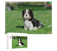 Jigsaw Puzzles 300 PCS for Adults Cavalier Puppy Puzzles for Adults Family Games Difficult Hard for Birthday, Chrismas 300 PCS