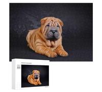 Jigsaw Puzzles 300 PCS for Teenagerss Chinese Shar Pei Jigsaw for Adults Anti-Stress Toys Perfect Decoration Stress Reduction Gifts 300 PCS