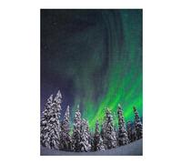 Jigsaw Puzzles 38x26cm/1000pcs for Adults Aurora Borealis Over Snow-Covered Trees Jigsaws for Adults Relax Games Precision Cutting Help The Brain Exercise 38x26cm/1000pcs