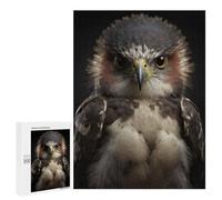 Jigsaw Puzzles 500 PCS for Adults Hawk Looking At The Camera Teenagers Puzzles Toy Wall Decor Perfect Decoration Challenging To Complete 500 PCS