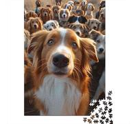 Jigsaw Puzzles 500 Pieces for Adults Colourful Hummingbirds Puzzle for Adults Cardboard Puzzles Family Games Christmas Birthday Gifts 500pcs (52x38cm)