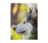 Jigsaw Puzzles 500 Pieces for Adults Families Puzzle Game for The Whole Challenging Puzzles,Alaskan Malamute Bokeh Pets Dogs Cute
