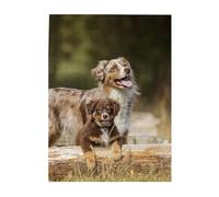 Jigsaw Puzzles 500 Pieces for Adults Families Puzzle Game for The Whole Challenging Puzzles,Australian Shepherd Dogs Aussie Brown Dogs