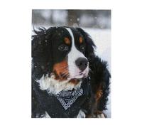 Jigsaw Puzzles 500 Pieces for Adults Families Puzzle Game for The Whole Challenging Puzzles,Bernese Mountain Dog Snowfall