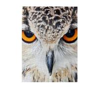 Jigsaw Puzzles 500 Pieces for Adults Families Puzzle Game for The Whole Challenging Puzzles,Bird Predator Owl