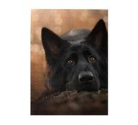 Jigsaw Puzzles 500 Pieces for Adults Families Puzzle Game for The Whole Challenging Puzzles,Black German Shepherd Bokeh Autumn German