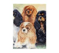 Jigsaw Puzzles 500 Pieces for Adults Families Puzzle Game for The Whole Challenging Puzzles,Black Golden Cavalier King Charles Spaniel