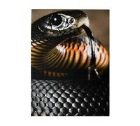 Jigsaw Puzzles 500 Pieces for Adults Families Puzzle Game for The Whole Challenging Puzzles,Black Mamba Snake Print