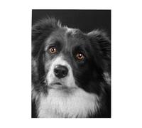 Jigsaw Puzzles 500 Pieces for Adults Families Puzzle Game for The Whole Challenging Puzzles,Border Collie Dog Pet