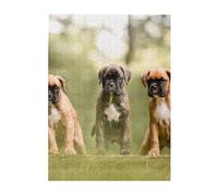 Jigsaw Puzzles 500 Pieces for Adults Families Puzzle Game for The Whole Challenging Puzzles,Boxer Dogs Puppies Pets Family Dogs