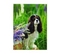 Jigsaw Puzzles 500 Pieces for Adults Families Puzzle Game for The Whole Challenging Puzzles,Cavalier King Charles Spaniel Dog Lupin Flowers