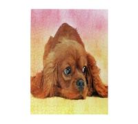 Jigsaw Puzzles 500 Pieces for Adults Families Puzzle Game for The Whole Challenging Puzzles,Cavalier King Charles Spaniel