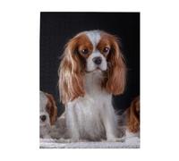 Jigsaw Puzzles 500 Pieces for Adults Families Puzzle Game for The Whole Challenging Puzzles,Cavalier King Charles Spaniel Mother With Cubs