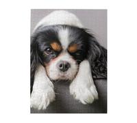 Jigsaw Puzzles 500 Pieces for Adults Families Puzzle Game for The Whole Challenging Puzzles,Cavalier King Charles Spaniel Dog