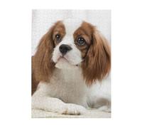 Jigsaw Puzzles 500 Pieces for Adults Families Puzzle Game for The Whole Challenging Puzzles,Cavalier King Charles Spaniel Brown Spaniel