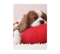 Jigsaw Puzzles 500 Pieces for Adults Families Puzzle Game for The Whole Challenging Puzzles,Cavalier King Charles Spaniel Pattern