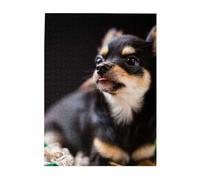 Jigsaw Puzzles 500 Pieces for Adults Families Puzzle Game for The Whole Challenging Puzzles,Chihuahua Dog Cute
