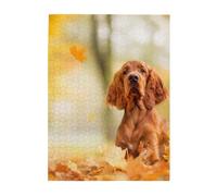 Jigsaw Puzzles 500 Pieces for Adults Families Puzzle Game for The Whole Challenging Puzzles,Cocker Spaniel Autumn Park Brown Spaniel Dogs