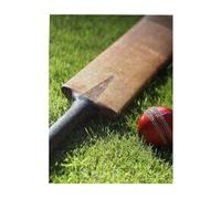 Jigsaw Puzzles 500 Pieces for Adults Families Puzzle Game for The Whole Challenging Puzzles,Cricket Bat And Ball