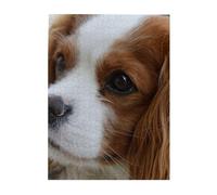 Jigsaw Puzzles 500 Pieces for Adults Families Puzzle Game for The Whole Challenging Puzzles,Cute Cavalier King Charles Spaniel