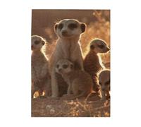 Jigsaw Puzzles 500 Pieces for Adults Families Puzzle Game for The Whole Challenging Puzzles,Cute Meerkats