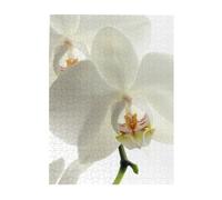 Jigsaw Puzzles 500 Pieces for Adults Families Puzzle Game for The Whole Challenging Puzzles,Floral White Flowers Orchid Elegant Modern Trendy