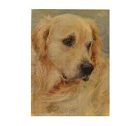 Jigsaw Puzzles 500 Pieces for Adults Families Puzzle Game for The Whole Challenging Puzzles,Golden Retriever Printed