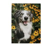 Jigsaw Puzzles 500 Pieces for Adults Families Puzzle Game for The Whole Challenging Puzzles,Happy Border Collie Dog Flowers