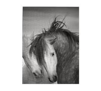 Jigsaw Puzzles 500 Pieces for Adults Families Puzzle Game for The Whole Challenging Puzzles,Horses