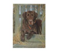 Jigsaw Puzzles 500 Pieces for Adults Families Puzzle Game for The Whole Challenging Puzzles,Labrador Dog Lab Chocolate
