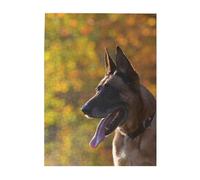 Jigsaw Puzzles 500 Pieces for Adults Families Puzzle Game for The Whole Challenging Puzzles,Malinois