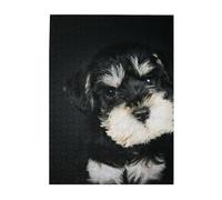 Jigsaw Puzzles 500 Pieces for Adults Families Puzzle Game for The Whole Challenging Puzzles,Miniature Schnauzer Puppy