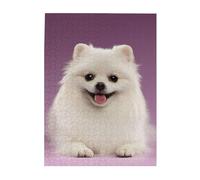 Jigsaw Puzzles 500 Pieces for Adults Families Puzzle Game for The Whole Challenging Puzzles,Pomeranian Dog Pattern