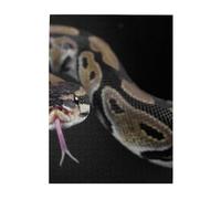 Jigsaw Puzzles 500 Pieces for Adults Families Puzzle Game for The Whole Challenging Puzzles,Python Snake