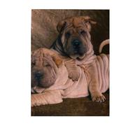 Jigsaw Puzzles 500 Pieces for Adults Families Puzzle Game for The Whole Challenging Puzzles,Shar Pei Dog