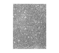 Jigsaw Puzzles 500 Pieces for Adults Families Puzzle Game for The Whole Challenging Puzzles,Silver Glitter Sparkles