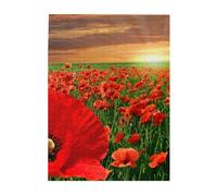 Jigsaw Puzzles 500 Pieces for Adults Families Puzzle Game for The Whole Challenging Puzzles,Sunset Poppy Field