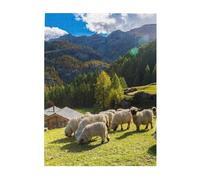 Jigsaw Puzzles 500 Pieces for Adults Families Puzzle Game for The Whole Challenging Puzzles,Swiss Alps Valais Blacknose Sheep Nest Animals Nature