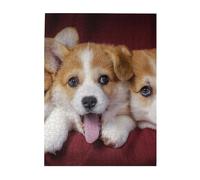 Jigsaw Puzzles 500 Pieces for Adults Families Puzzle Game for The Whole Challenging Puzzles,Welsh Corgi Dog